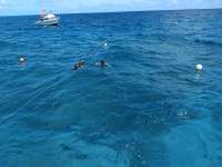 Great day of scuba diving in Key Largo with Rainbow Reef on eagle ray alley santana 2019 03 11 r7949 1