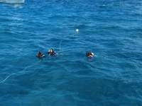 Great day of scuba diving in Key Largo with Rainbow Reef on eagle ray alley santana 2019 03 11 r7950 2