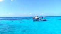 Great day of scuba diving in Key Largo with Rainbow Reef on eagle ray alley santana 2019 03 18 r7989 1