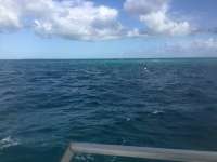 Great day of scuba diving in Key Largo with Rainbow Reef on eagle ray alley santana 2019 03 29 r8036 1