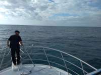Great day of scuba diving in Key Largo with Rainbow Reef on eagle ray alley tropical adventure 2019 03 16 r7971 1