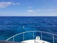 Great day of scuba diving in Key Largo with Rainbow Reef on eagle ray alley tropical destiny 2019 03 25 r8021 1