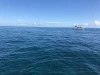 Great day of scuba diving in Key Largo with Rainbow Reef on eagle ray alley tropical legend 2019 03 02 r7894 1
