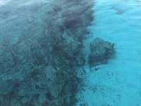 Great day of scuba diving in Key Largo with Rainbow Reef on eagle ray alley tropical legend 2019 03 17 r7983 2