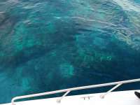 Great day of scuba diving in Key Largo with Rainbow Reef on eagle ray alley tropical serenity 2019 03 17 r7981 3
