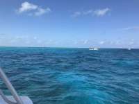 Great day of scuba diving in Key Largo with Rainbow Reef on fire coral cave tropical destiny 2019 03 09 r7937 1