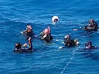Great day of scuba diving in Key Largo with Rainbow Reef on french reef santana 2019 03 09 r7938 2