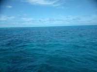 Great day of scuba diving in Key Largo with Rainbow Reef on grecian rocks tropical destiny 2019 03 11 r7951 1