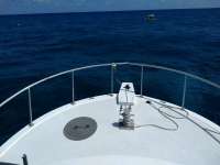 Great day of scuba diving in Key Largo with Rainbow Reef on hole in the wall tropical destiny 2019 03 10 r7945 2