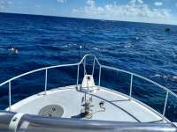 Great day of scuba diving in Key Largo with Rainbow Reef on molasses reef santana 2019 03 03 r7908 2