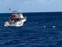 Great day of scuba diving in Key Largo with Rainbow Reef on molasses reef santana 2019 03 07 r7924 1