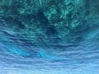 Great day of scuba diving in Key Largo with Rainbow Reef on molasses reef tropical adventure 2019 03 02 r7895 1