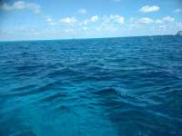 Great day of scuba diving in Key Largo with Rainbow Reef on permit ledges santana 2019 03 01 r7889 1