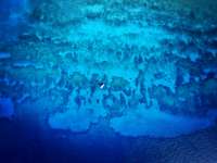 Great day of scuba diving in Key Largo with Rainbow Reef on permit ledges tropical adventure 2019 03 01 r7887 1