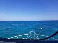 Great day of scuba diving in Key Largo with Rainbow Reef on pickles reef tropical adventure 2019 03 08 r7931 1