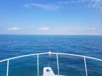 Great day of scuba diving in Key Largo with Rainbow Reef on pickles reef tropical destiny 2019 03 05 r7915 1