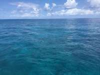 Great day of scuba diving in Key Largo with Rainbow Reef on pickles reef tropical serenity 2019 03 31 r8050 1