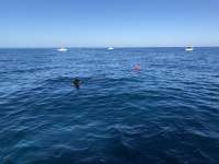 Great day of scuba diving in Key Largo with Rainbow Reef on spanish anchor tropical legend 2019 03 02 r7901 1