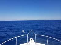 Great day of scuba diving in Key Largo with Rainbow Reef on spiegel grove santana 2019 03 23 r8011 1