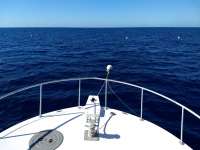 Great day of scuba diving in Key Largo with Rainbow Reef on spiegel grove tropical destiny 2019 03 04 r7911 1