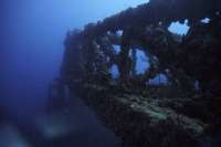 Great day of scuba diving in Key Largo with Rainbow Reef on spiegel grove tropical destiny 2019 03 08 r7928 2