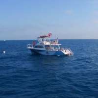 Great day of scuba diving in Key Largo with Rainbow Reef on spiegel grove tropical odyssey 2019 03 09 r7933 1