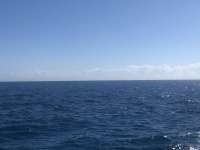Great day of scuba diving in Key Largo with Rainbow Reef on spiegel grove tropical odyssey 2019 03 21 r7996 1
