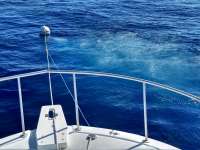 Great day of scuba diving in Key Largo with Rainbow Reef on uscgc duane tropical destiny 2019 03 02 r7893 2