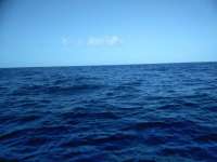 Great day of scuba diving in Key Largo with Rainbow Reef on uscgc duane tropical destiny 2019 03 03 r7905 1