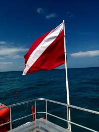 Great day of scuba diving in Key Largo with Rainbow Reef on uscgc duane tropical destiny 2019 03 26 r8022 1