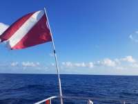 Great day of scuba diving in Key Largo with Rainbow Reef on uscgc duane tropical odyssey 2019 03 11 r7947 1