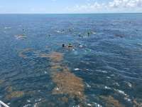 Great day of scuba diving in Key Largo with Rainbow Reef on christ statue tropical destiny 2019 05 02 r8206 1