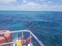 Great day of scuba diving in Key Largo with Rainbow Reef on christ statue tropical serenity 2019 05 28 r8346 1