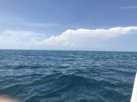 Great day of scuba diving in Key Largo with Rainbow Reef on christmastree cave santana 2019 05 06 r8229 1