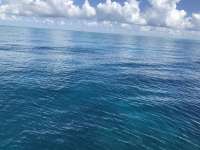 Great day of scuba diving in Key Largo with Rainbow Reef on christmastree cave santana 2019 05 20 r8295 1