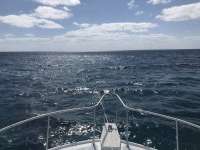 Great day of scuba diving in Key Largo with Rainbow Reef on christmastree cave santana 2019 05 28 r8343 1