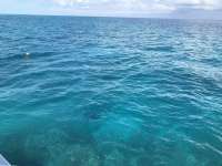 Great day of scuba diving in Key Largo with Rainbow Reef on christmastree cave tropical serenity 2019 05 02 r8207 1