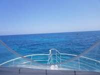 Great day of scuba diving in Key Largo with Rainbow Reef on city of washington tropical legend 2019 05 06 r8228 1
