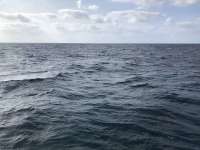 Great day of scuba diving in Key Largo with Rainbow Reef on eagle ray alley tropical legend 2019 05 24 r8317 1