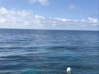 Great day of scuba diving in Key Largo with Rainbow Reef on eagle ray alley tropical serenity 2019 05 02 r8203 1