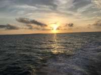 Great day of scuba diving in Key Largo with Rainbow Reef on eagle ray alley tropical serenity 2019 05 02 r8209 1