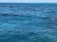 Great day of scuba diving in Key Largo with Rainbow Reef on eagle ray alley tropical serenity 2019 05 04 r8215 1