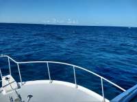 Great day of scuba diving in Key Largo with Rainbow Reef on fire coral cave santana 2019 05 19 r8287 1