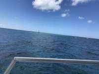 Great day of scuba diving in Key Largo with Rainbow Reef on fire coral cave tropical destiny 2019 05 21 r8304 1