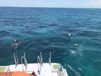 Great day of scuba diving in Key Largo with Rainbow Reef on fire coral cave tropical legend 2019 05 08 r8238 1