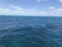 Great day of scuba diving in Key Largo with Rainbow Reef on fire coral cave tropical odyssey 2019 05 27 r8340 1