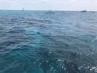 Great day of scuba diving in Key Largo with Rainbow Reef on hole in the wall tropical legend 2019 05 25 r8323 1