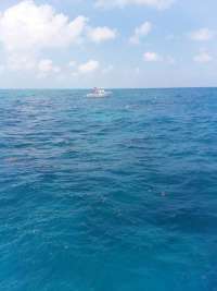 Great day of scuba diving in Key Largo with Rainbow Reef on molasses reef tropical destiny 2019 05 29 r8350 1