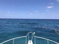 Great day of scuba diving in Key Largo with Rainbow Reef on north star santana 2019 05 28 r8347 1
