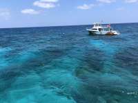 Great day of scuba diving in Key Largo with Rainbow Reef on permit ledges tropical voyager 2019 05 25 r8325 1